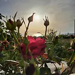 Villa Enalia *